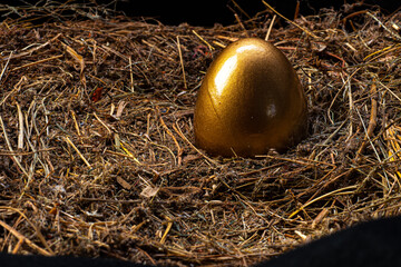 Golden eggs and white eggs in a bird's nest, seen from above