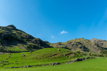 landscape with sky