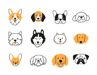 Set of heads of different breeds dogs. Corgi, Pug, Chihuahua, Terrier, Retriever, Dachshund, Poodle. Collection of dog faces Hand drawn isolated vector illustration in doodle style on white background