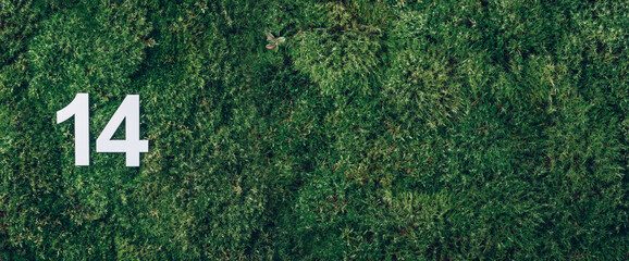Ecology, zero waste. Green grass, digit fourteen. Birthday greeting card with inscription 14....