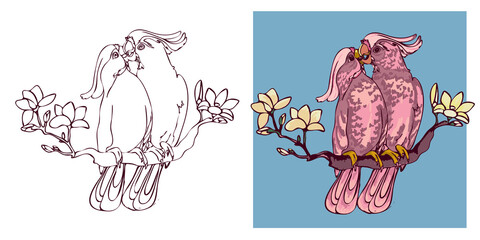 vector drawing of two pink cockatoos kissing sitting on a branch with flowers