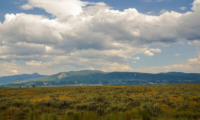 Fototapeta premium Yellowstone, United States 