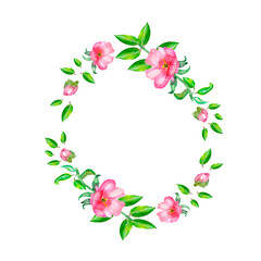 Watercolor hand drawn rosehip flower and leaves composition for romantic background.