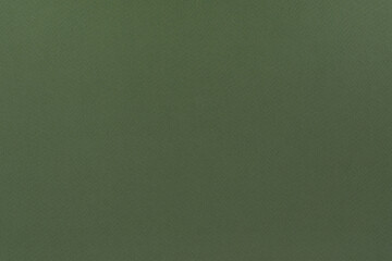 Fototapeta premium Green paper background. Fern green colour paper texture.