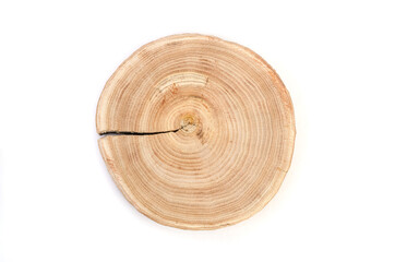 Wooden saw cut of a tree silt with a pronounced pattern of annual rings on a white background