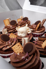 Fototapeta na wymiar chocolate cupcakes sprinkled with sweets