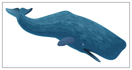 Vector blue whale. Flat cartoon icon isolated on white background.