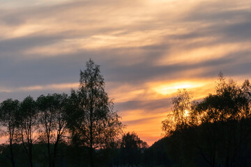 An unusual sunset over the forest. The outline of trees against the sky and the setting sun. Natural landscape.