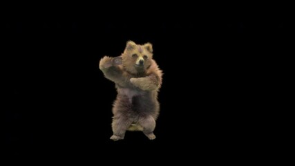 Bear Dancing CG fur 3d rendering animal realistic composition 3d mapping cartoon, Animation Loop, Included in the end of the clip with Alpha matte.