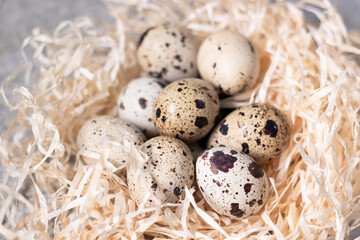 Fototapeta premium composition of quail eggs in a nest of dry grass or Wheat, oats, millet. with free space for text advertising of food or restaurant menu design. Healthy food concept.
