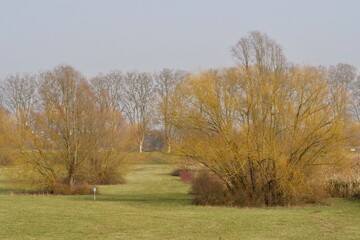 Obraz premium Landschaft