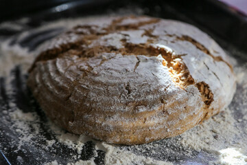 Hands of woman kneading sourdough 