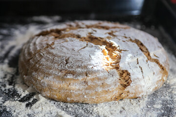 Hands of woman kneading sourdough 