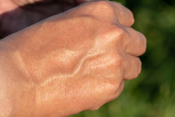 the outer side of the male palm. Muscles and veins of the arm close-up.  Sweaty hand after a workout.