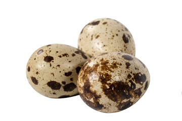 Boiled spotted quail eggs  isolated on white background.  Healthy Food Products Concept