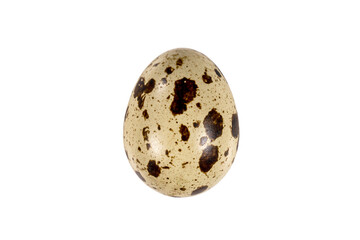 Boiled spotted quail egg  isolated on white background.  Healthy Food Products Concept