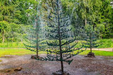 Fountains-crackers Fir trees in lower park of Peterhof in St. Petersburg, Russia