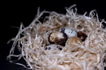 Obraz premium Heap of Quail eggs in nest from dry grass or hay isolated on dark background. copy space for advertising of food or restaurant menu design. easter eggs