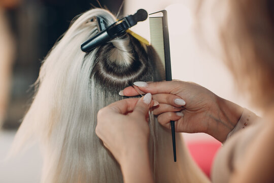 Hairdresser female making hair extensions to young woman with blonde hair in beauty salon. Professional hair extension.