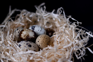 Obraz premium Heap of Quail eggs in nest from dry grass or hay isolated on dark background. copy space for advertising of food or restaurant menu design. easter eggs