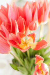A bouquet of tender pink tulips in a vase stand on the table. Beautiful spring bouquet. Gift for a woman, Comfort at home.