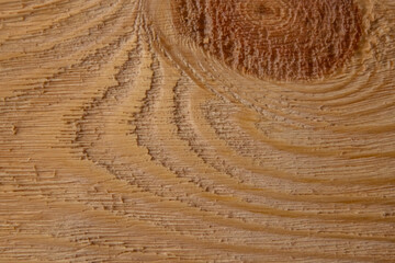Brushed wood texture close-up. Background image