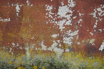 pared con textura raspada, fondo viejo con textura granate y amarillo