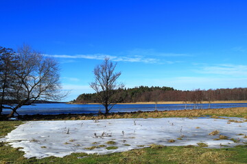 The last snow before the spring. Landscape photo over Swedish nature. Nice weather and climate change. Clear blue sky. Stockholm, Sweden, Europe.