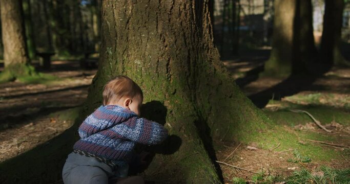 A little baby is sitting under a tree in the woods and is playing with sticks