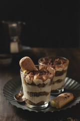Traditional italian homemade tiramisu with mascarpone and cocoa powder
