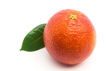 Red sicilian orange and green leaf isolated on white background. Fresh, ripe citrus fruit close up