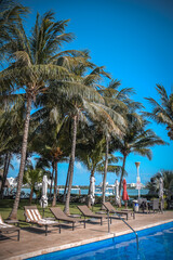 Obraz premium Palm Trees by Hotel Pool in Cancun