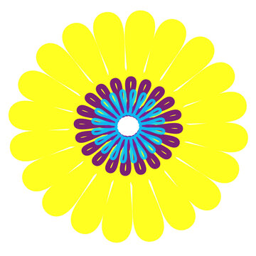 yellow flower isolated on white background