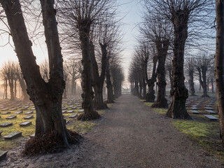 Cemetery in Christiansfeld, Denmark