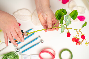 Handmade concept. Women hands prune a raspberry branch. The work of the florist. The decorative branch of raspberry in women hands.