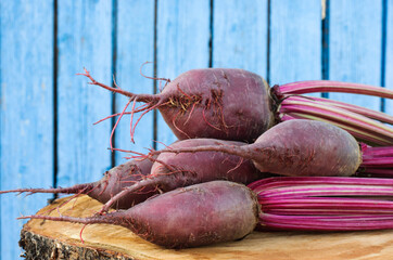 A lot of beets on a blue wooden background, farming