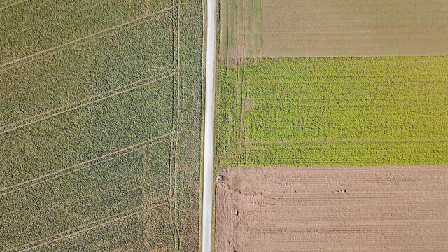 Landwirtschaft: Gerader Feldweg durchquert landwirtschaftliche Felder, Luftbild