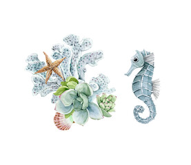 set of watercolor illustrations in nautical style. seahorse and delicate background with a bouquet of flowers of succulents.  © Lana