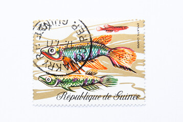 Guinea Republic Postage Stamp. circa 1971. epiplatys chaperi.  Toothed carp