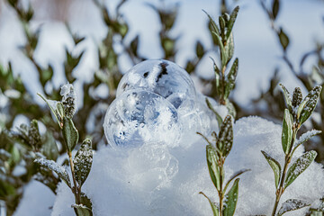 Frost Bubble 