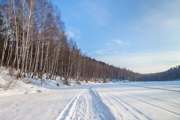 Panorama of frozen river or lake, covered by snow. Clear and cold sunny winter day. White birches growing in line nearby shoreline. Trampled path and ski trails