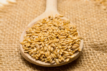 Golden flaxseeds or linseeds on wooden spoon, close up