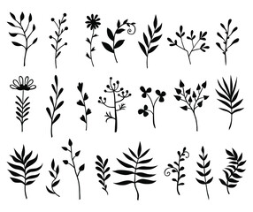 Vector illustrations of decorative herbals, branches and flowers set silhouette
