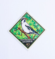 Republique de guinee - circa 1976: a stamp printed in republique de guinee shows image of birds,...