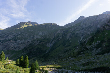 Fototapeta na wymiar The Swiss Alps at dawn on a sunny day, near the village of Maloja, Switzerland - August 2020.