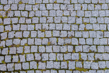 Paved street, view from above. Blades of grass sprout in the inter-tile space