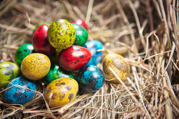 Fototapeta na wymiar Easter spotted quail eggs on straw. Colourful painted festive egg heap on hay. Springtime religious holiday