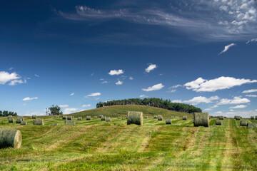 Round hay bales on a Canadian prairies harvested field in Rocky View County Alberta.