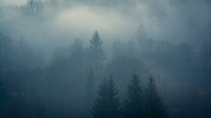 misty mountains landscape with trees