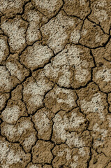 A pattern on dried silt. Dry land in the desert, Utah US